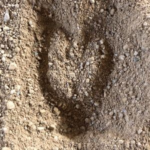 Meet your Posher, Lynne